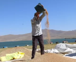 Ağrı’da Yüksek Rakımda Tarım Zorluğu: Çiftçiler Zamanla Yarışıyor