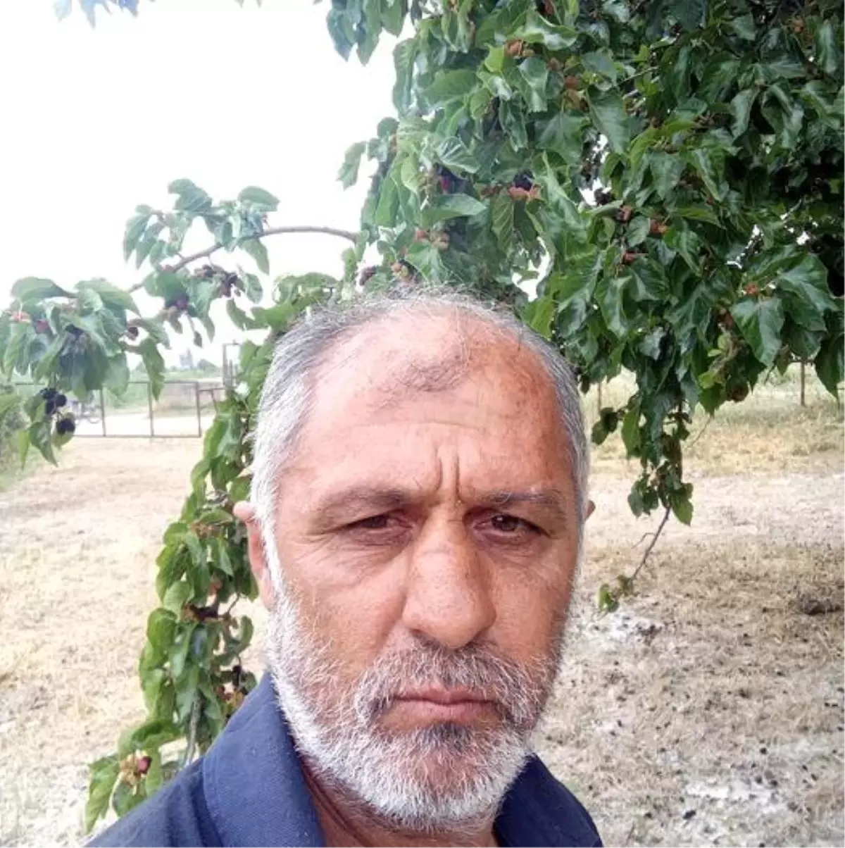 Aydın’da otomobil ve motosikletin karıştığı kazada bir kişi hayatını kaybetti
