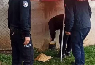 Bayburt’ta Boruya Sıkışan Kedi İtfaiye Ekiplerince Kurtarıldı