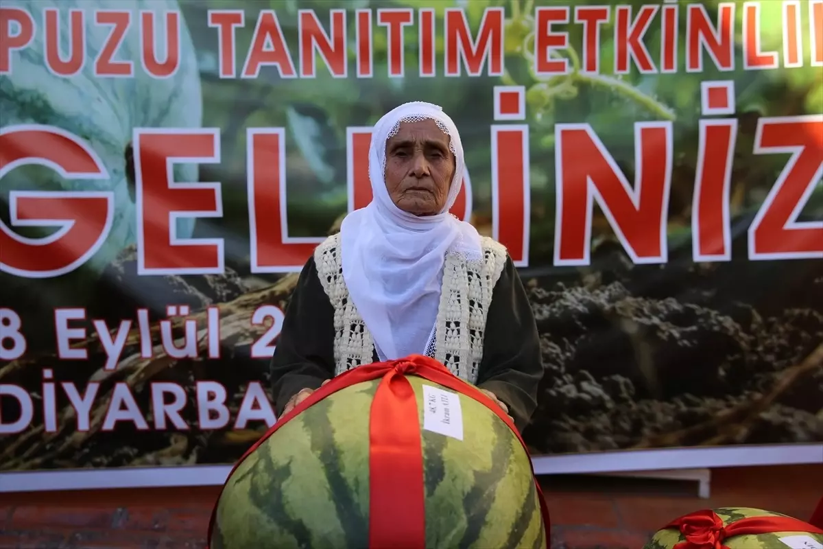 Diyarbakır’da 14. Karpuz Tanıtım Etkinlikleri Düzenlendi