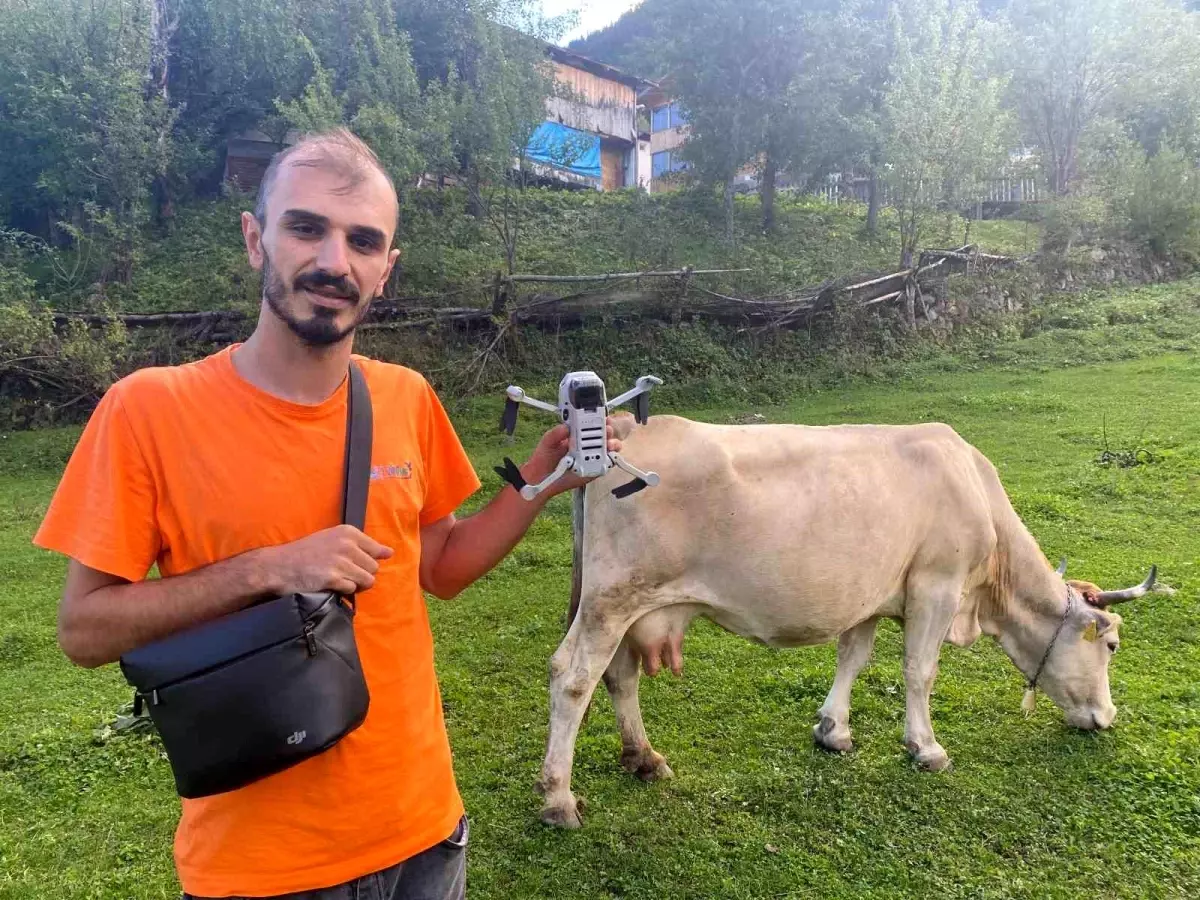 Drone ile İneklerini Getiren Gençten İlginç Yöntem