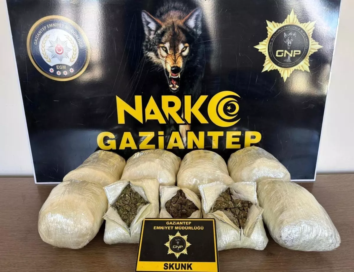 Gaziantep’te Uyuşturucu Operasyonu: 5 Kilo Skunk Ele Geçirildi