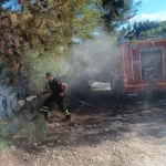 Hatay’da Orman Yangını Söndürüldü