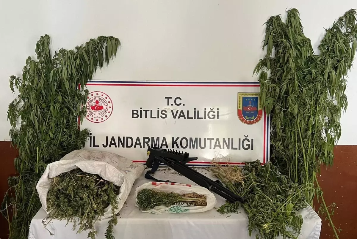 Hizan’da Uyuşturucu Operasyonu: 2 Kilo Esrar ve 164 Kök Kenevir Ele Geçirildi