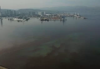 İzmir Körfezi’nde Kırmızı Su Problemi: Mikroalgler ve Kirlenme
