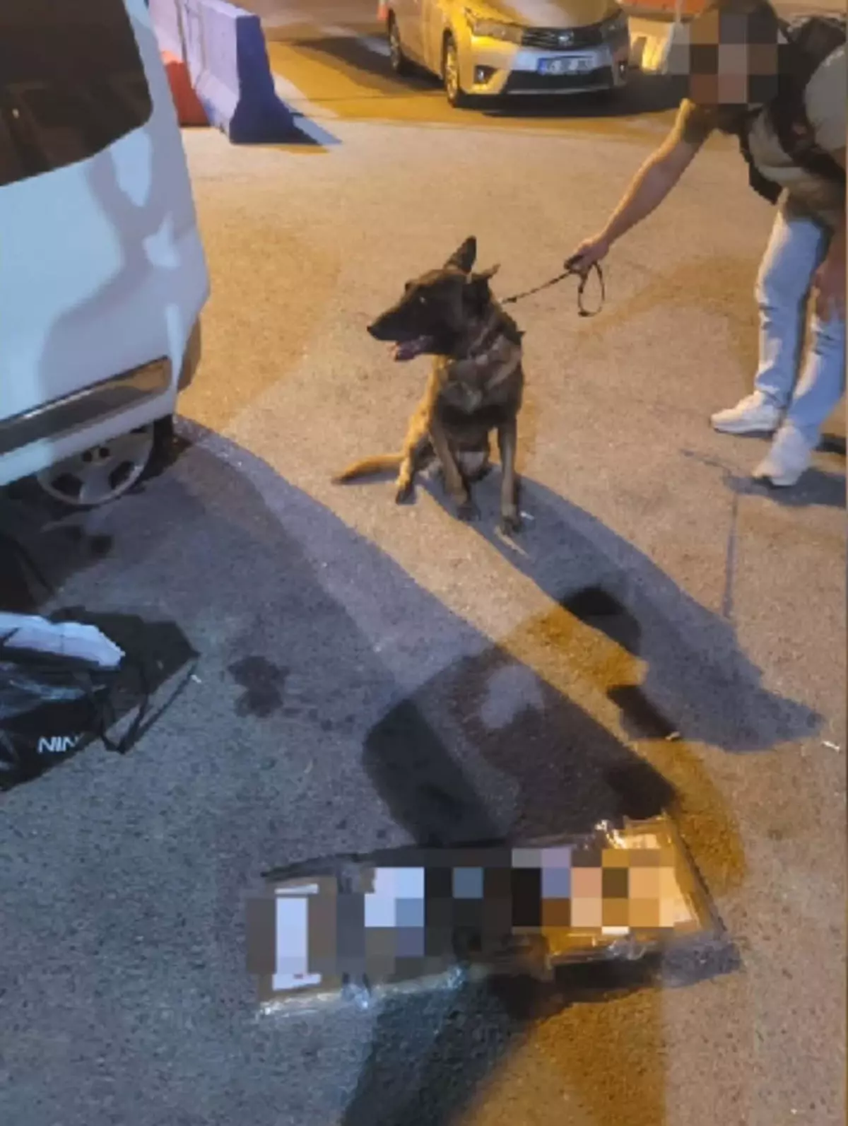 İzmir’de Narkotik Köpeği ile Uyuşturucu Operasyonu: 5 Kilo Kokain Ele Geçirildi