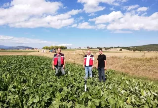 Kütahya’da Şekerpancarı Ekim Sahaları Denetlendi