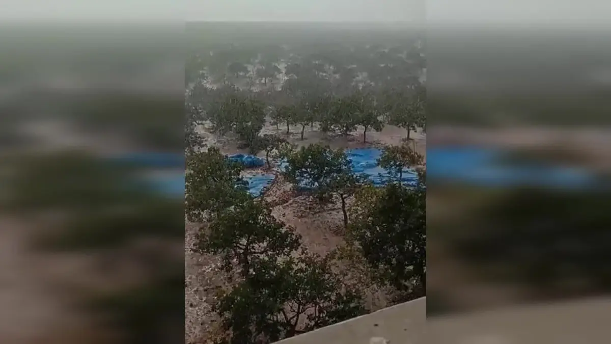 Şanlıurfa’da Sağanak Yağış Tarım ve Ulaşımı Olumsuz Etkiledi