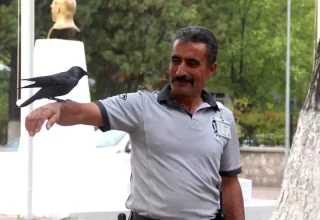 Sivas Sağlık Müdürlüğü’nün Sevimli Maskotu: Kömür Karga