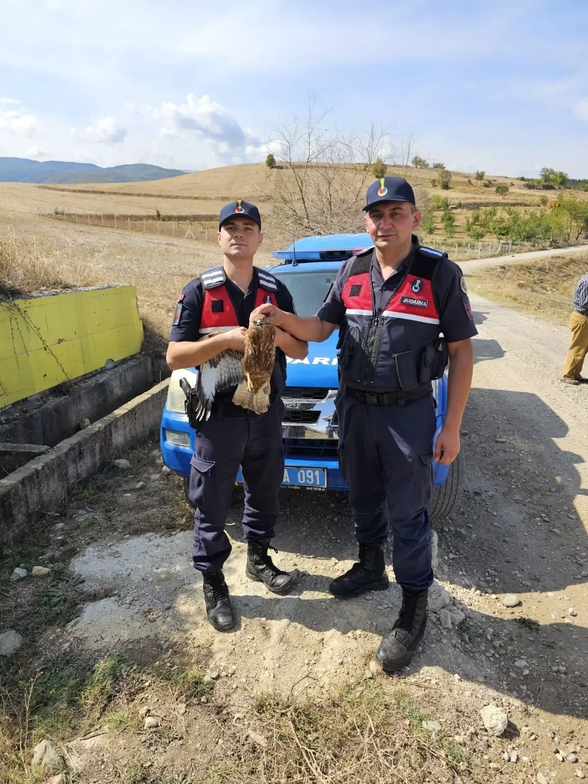 Yaralı Şahin Tedavi Altına Alındı