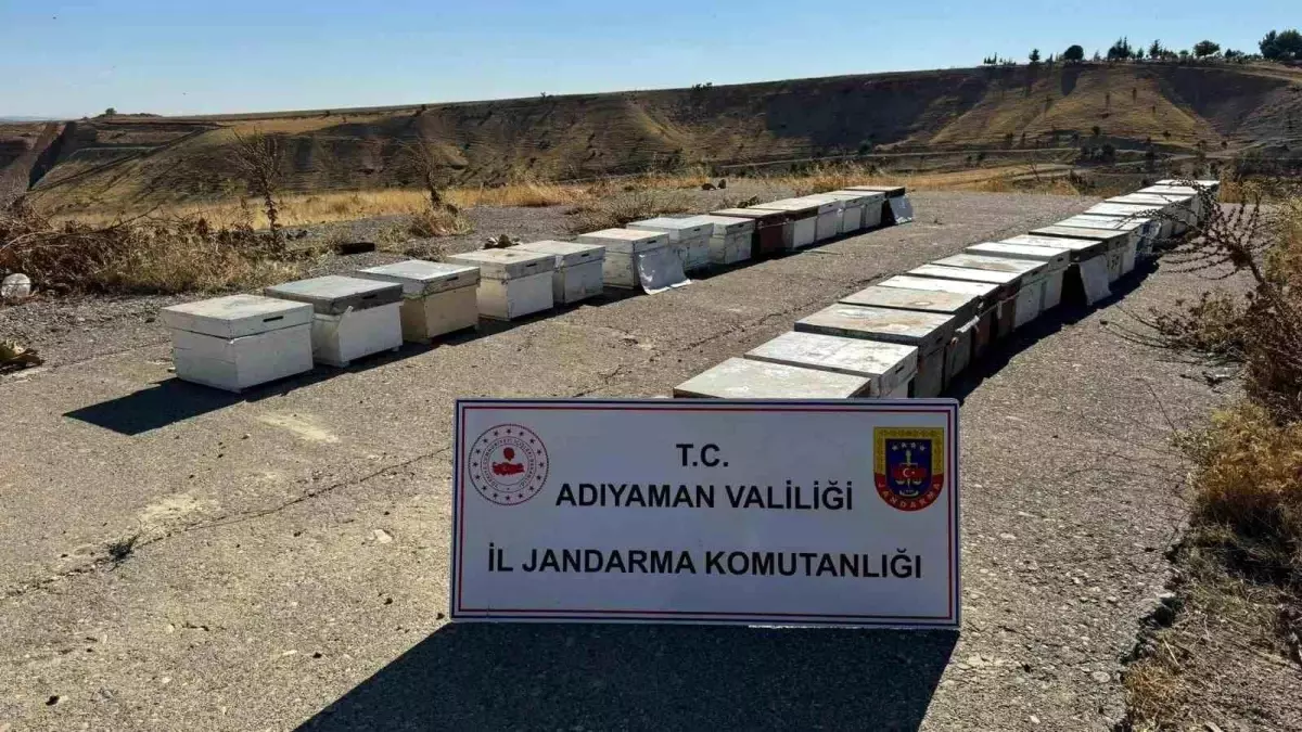 Adıyaman’da Arı Kovanlarını Çalan Şahıs Yakalandı