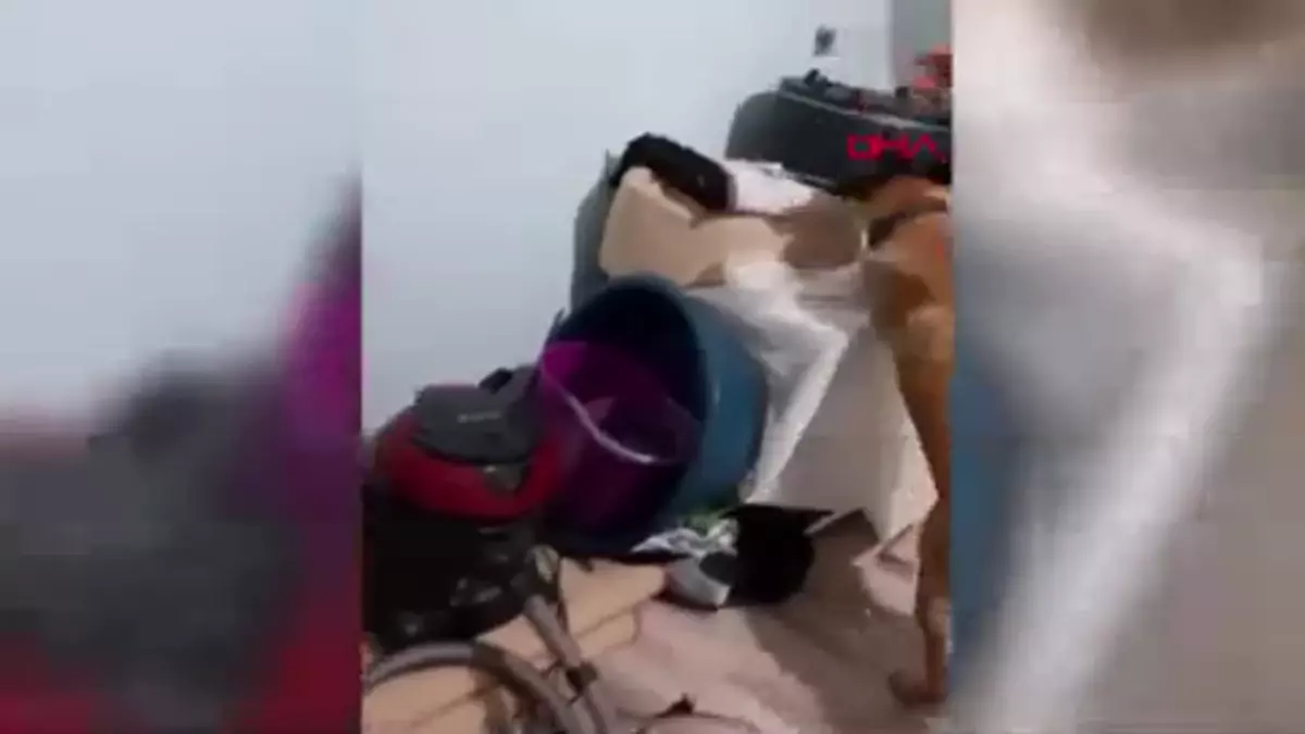 Adıyaman’da Uyuşturucu Operasyonu: 5 Gözaltı
