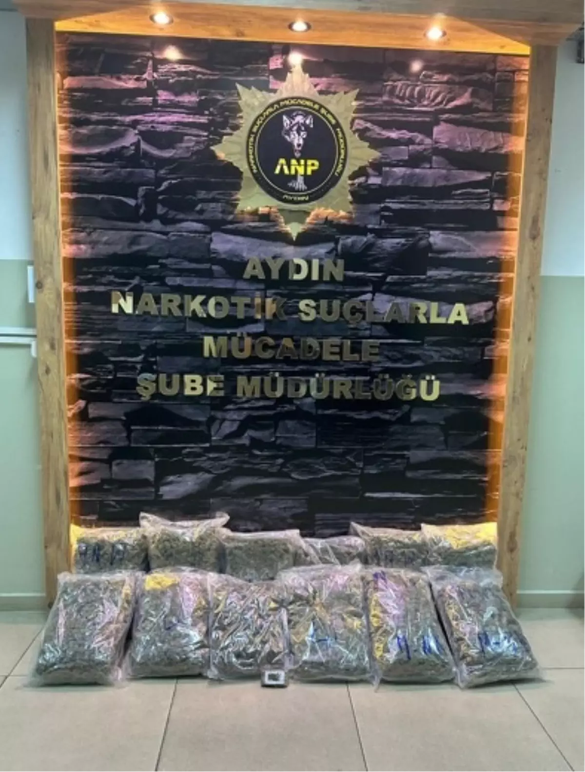 Aydın’da Uyuşturucu Operasyonu: 13 Kilogram Skunk Ele Geçirildi