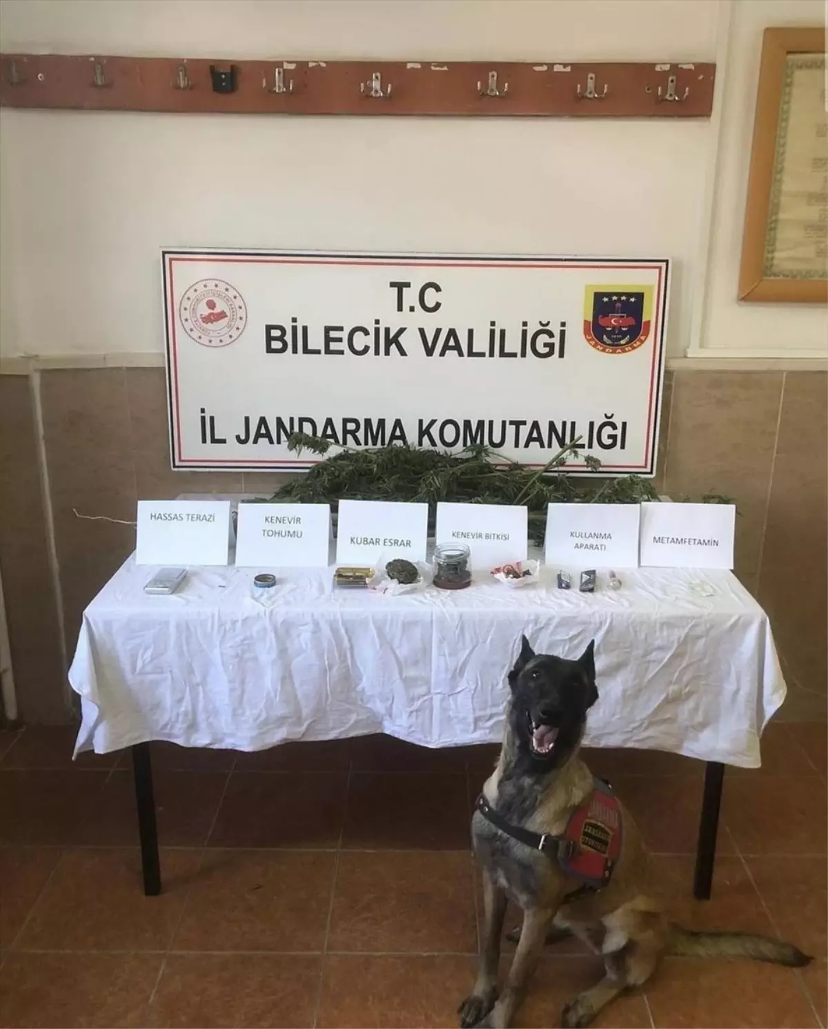 Bilecik’te Uyuşturucu Operasyonu: 1 Gözaltı