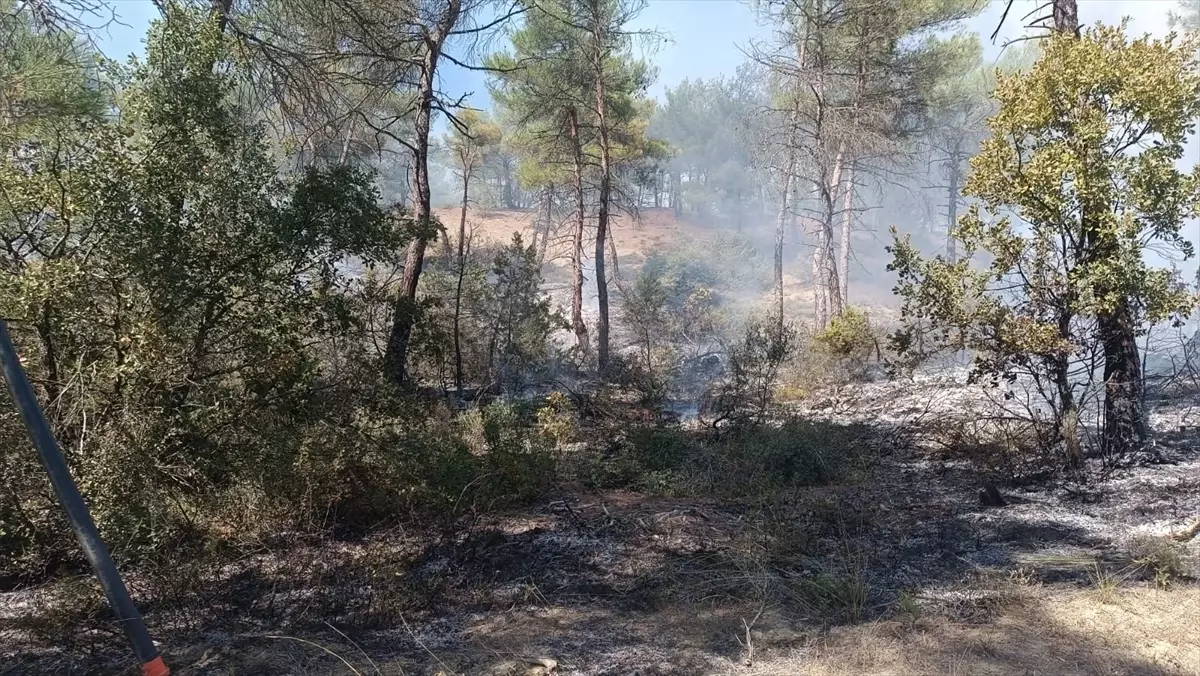 Bolu Göynük’te Yangın Kontrol Altına Alındı