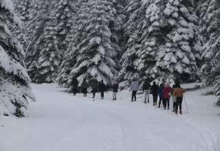 Bolu’da Kayaklı Koşu Sporcuları Karla Antrenmanlara Başladı