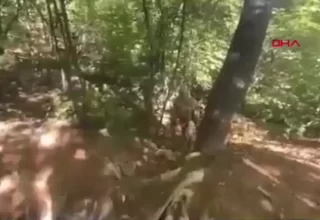 Elazığ’da PKK’lı Teröristlerin Kullandığı Sığınakta Yaşam Malzemeleri Ele Geçirildi