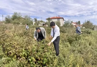 Pazaryeri Kaymakamı Kahraman, Yeni Ahududu ve Aronya Tarlalarını İnceledi