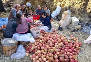 Adana Feke’de Nar Ekşisi Üretimi Başladı