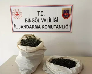 Bingöl’de Jandarma, 7 Kilo 150 Gram Esrar Ele Geçirdi