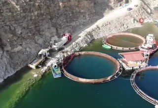 Deriner Barajı’nda İlk Türk Somonu Hasadı Gerçekleştirildi
