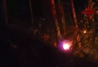Gazipaşa’da Orman Yangını