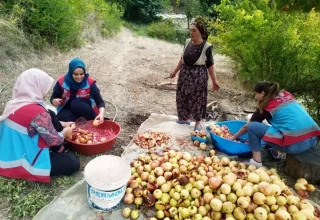 Gazipaşa’da Vefa Sosyal Destek Grubu 411 Hane Ziyareti Gerçekleştirdi