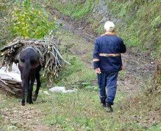 Giresun’da Yüzlerce Yıldır Süren Katırcılık Mesleği Tehlikede