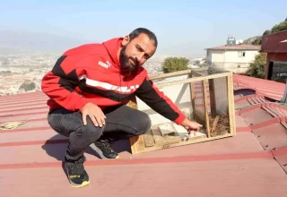 Hatay’da Sansarın Hayvanların Telef Olmasına Neden Olması Üzerine Mahalle Nöbette