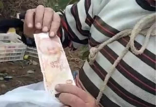 Hurma Bahçesinde Dürüstlük Örneği: Poşette 50 TL Bıraktılar