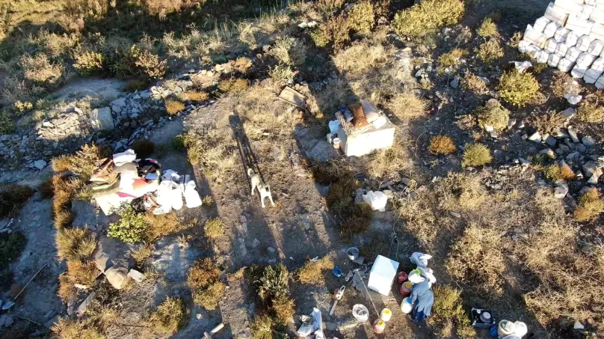 Kangal Köpeği Dronu Saldırdı