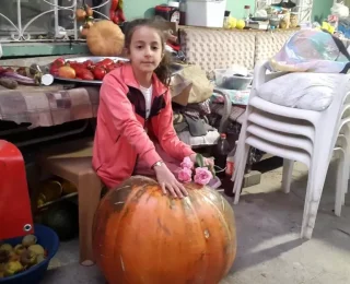 Manisa’da 80 Kilogram Ağırlığında Devasa Kabaklar Yetiştirildi