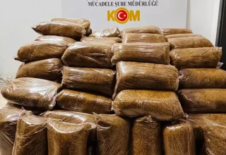 Samsun’da Kaçak Tütün Operasyonu: 475 Kilogram Ele Geçirildi