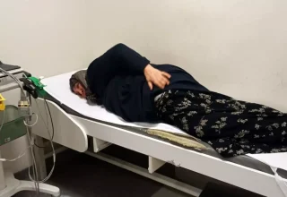 Sokak Köpeklerinin Saldırısı Sonucu Kadın Hastaneye Kaldırıldı