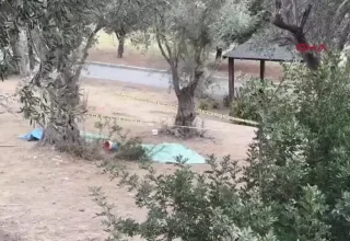 Zeytin Toplamak İçin Ağaçtan Düşen Şahıs Hayatını Kaybetti