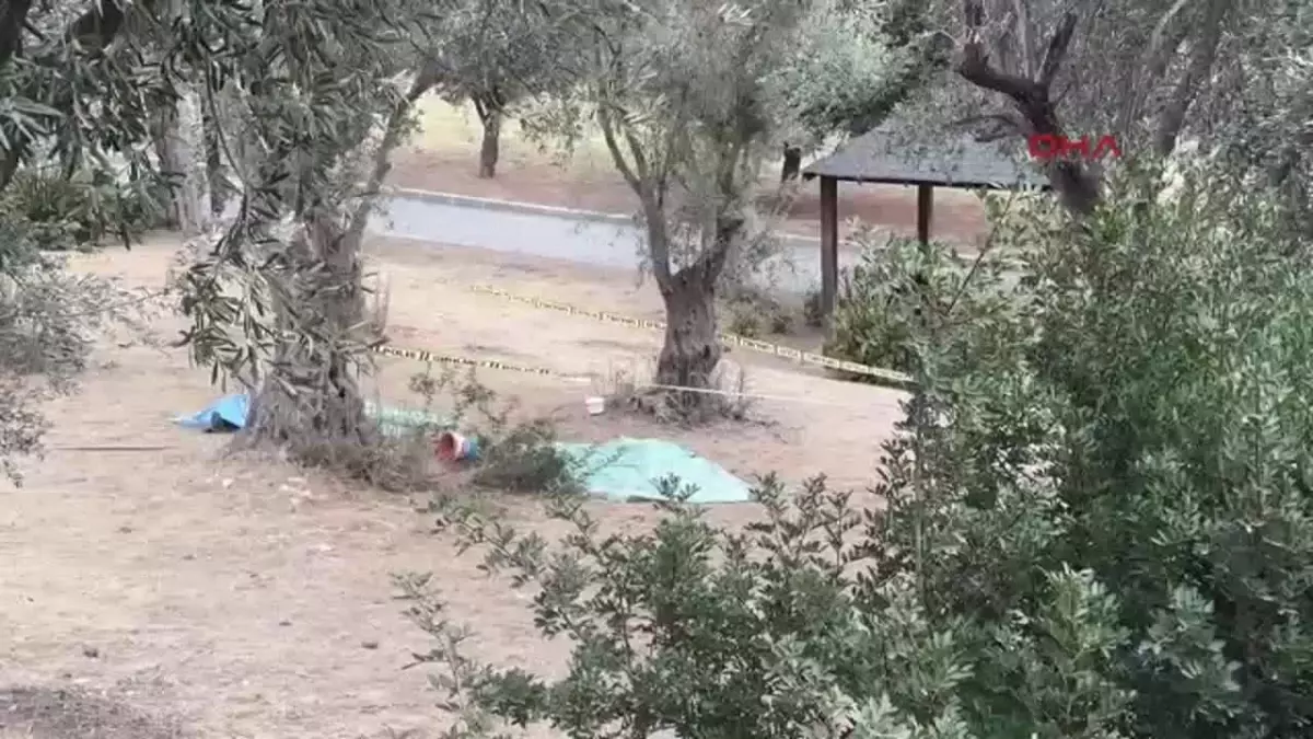 Zeytin Toplamak İçin Ağaçtan Düşen Şahıs Hayatını Kaybetti