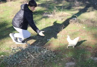 Adana’daki Okulda Çocuklar Tarımsal Üretime Katılıyor