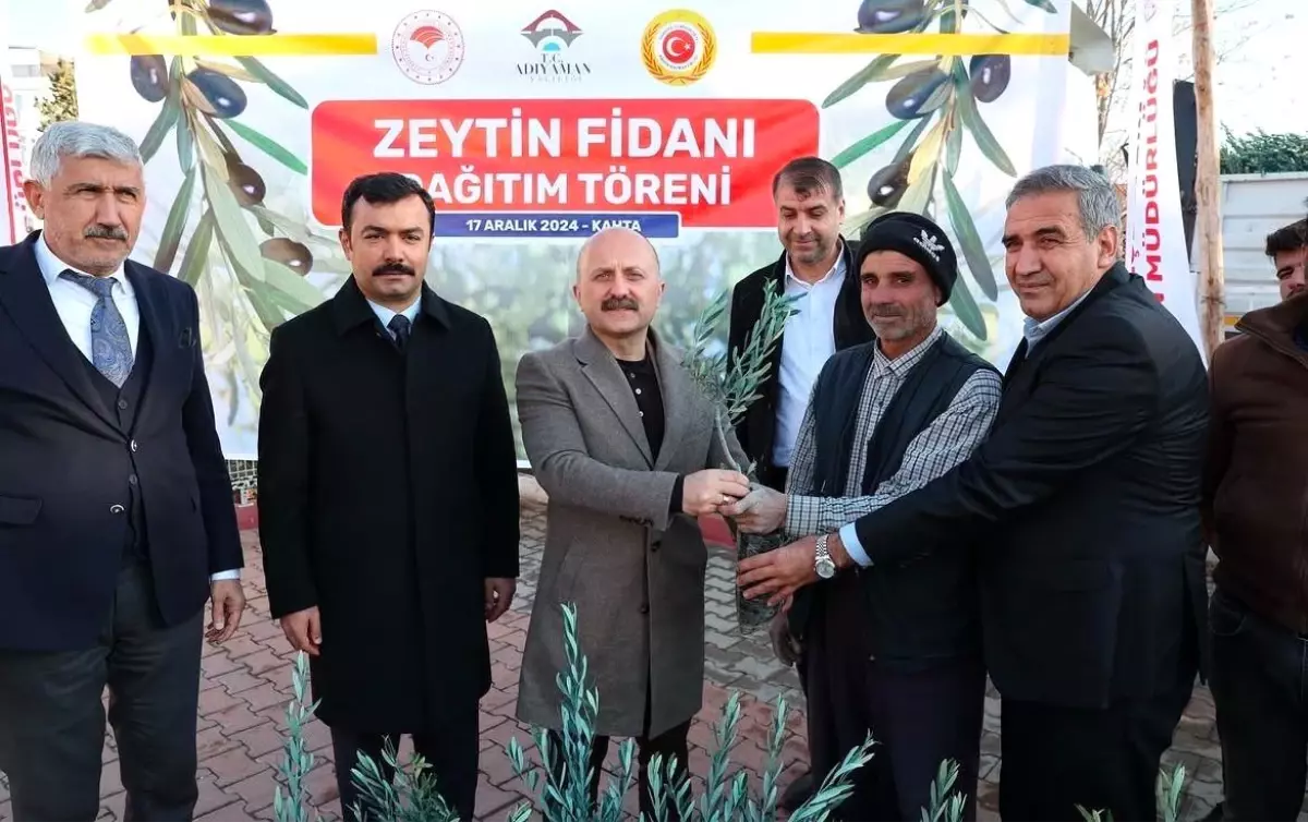 Adıyaman’da 70 Bin Zeytin Fidanı Dağıtıldı