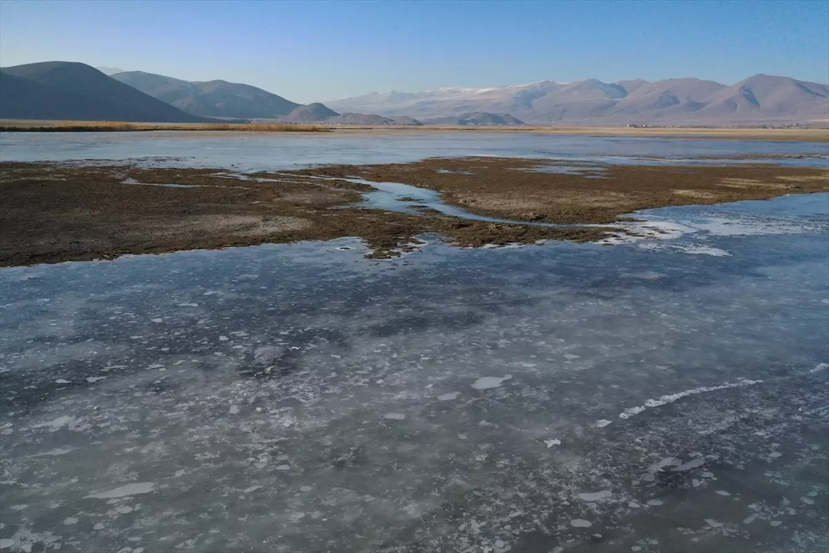 Ağrı’nın Doğubayazıtında Sulak Alanlar Buzla Kaplandı