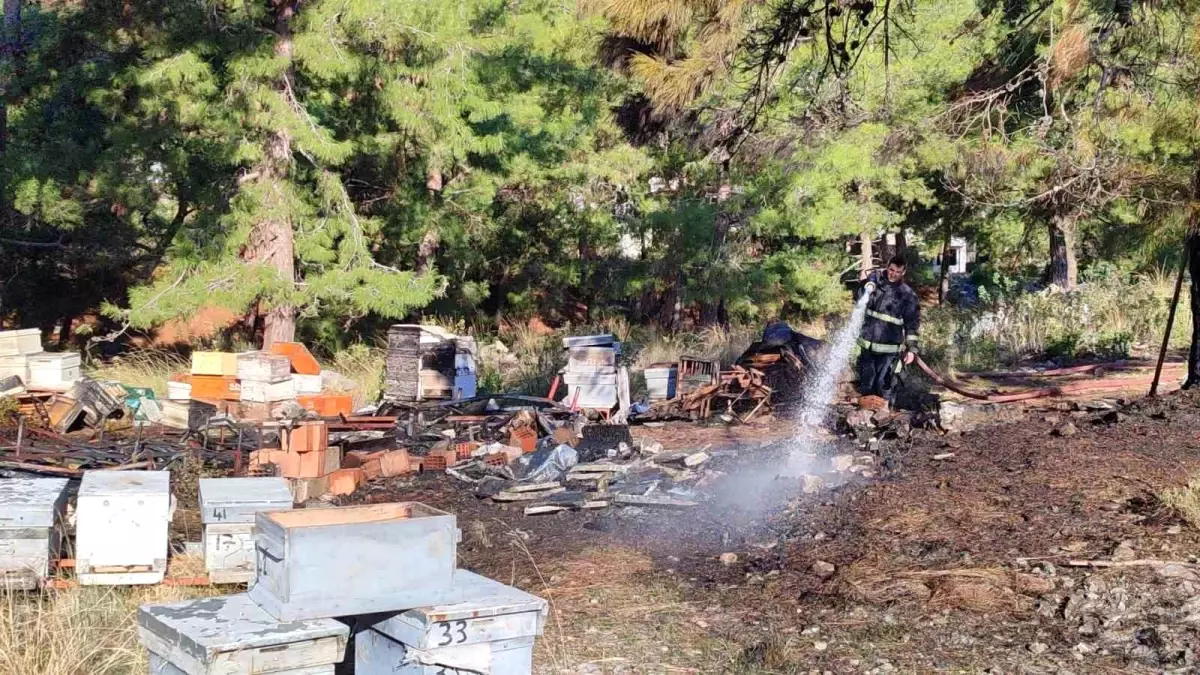 Alanya’daki Mezarlık Yangınında Arı Kovanları Zarar Gördü