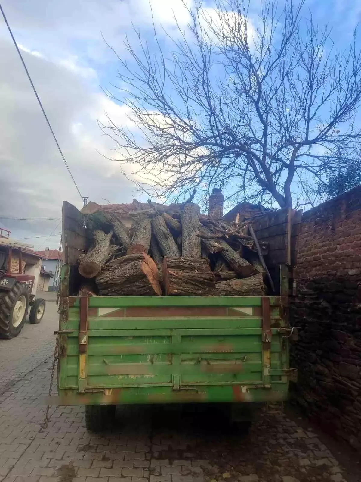 Aydın’da Ormandan Ağaç Kesimi Yapan Şüpheli Yakalandı