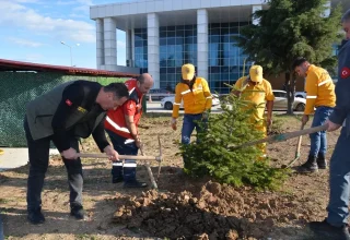 Bafra Devlet Hastanesi Bahçesine Fidan Dikimi Yapıldı