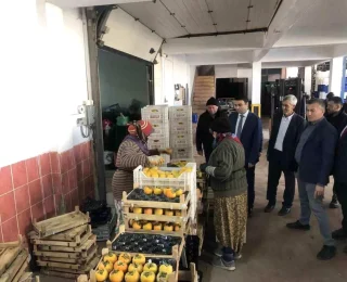 Bilecik’te Tarım Ürünleri Soğuk Hava Depolarında Paketleniyor