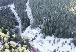 Bilecik’te Yaban Hayvanlar İçin Yem Bırakıldı, Turizm Potansiyeli Artacak