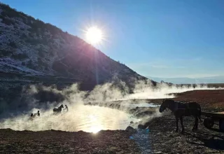 Bitlis’te Atlar Kaplıcada Yıkanıyor