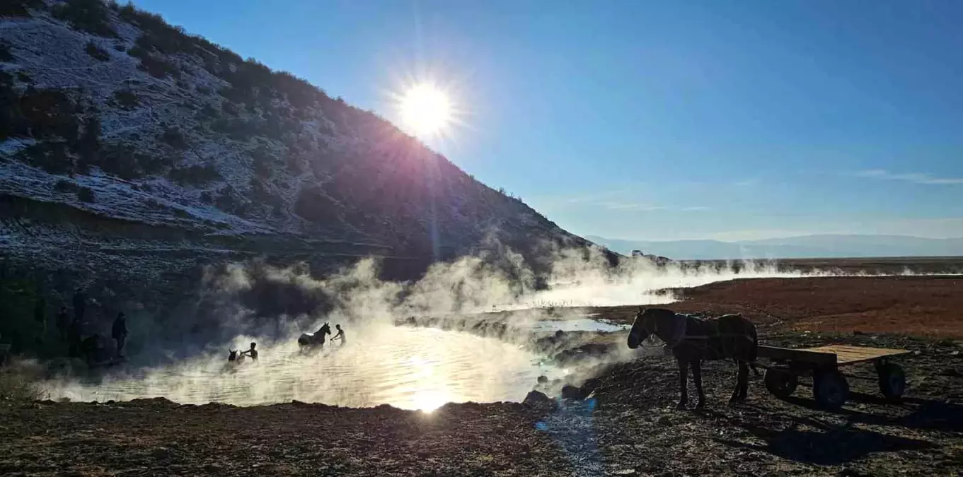 Bitlis’te Atlar Kaplıcada Yıkanıyor