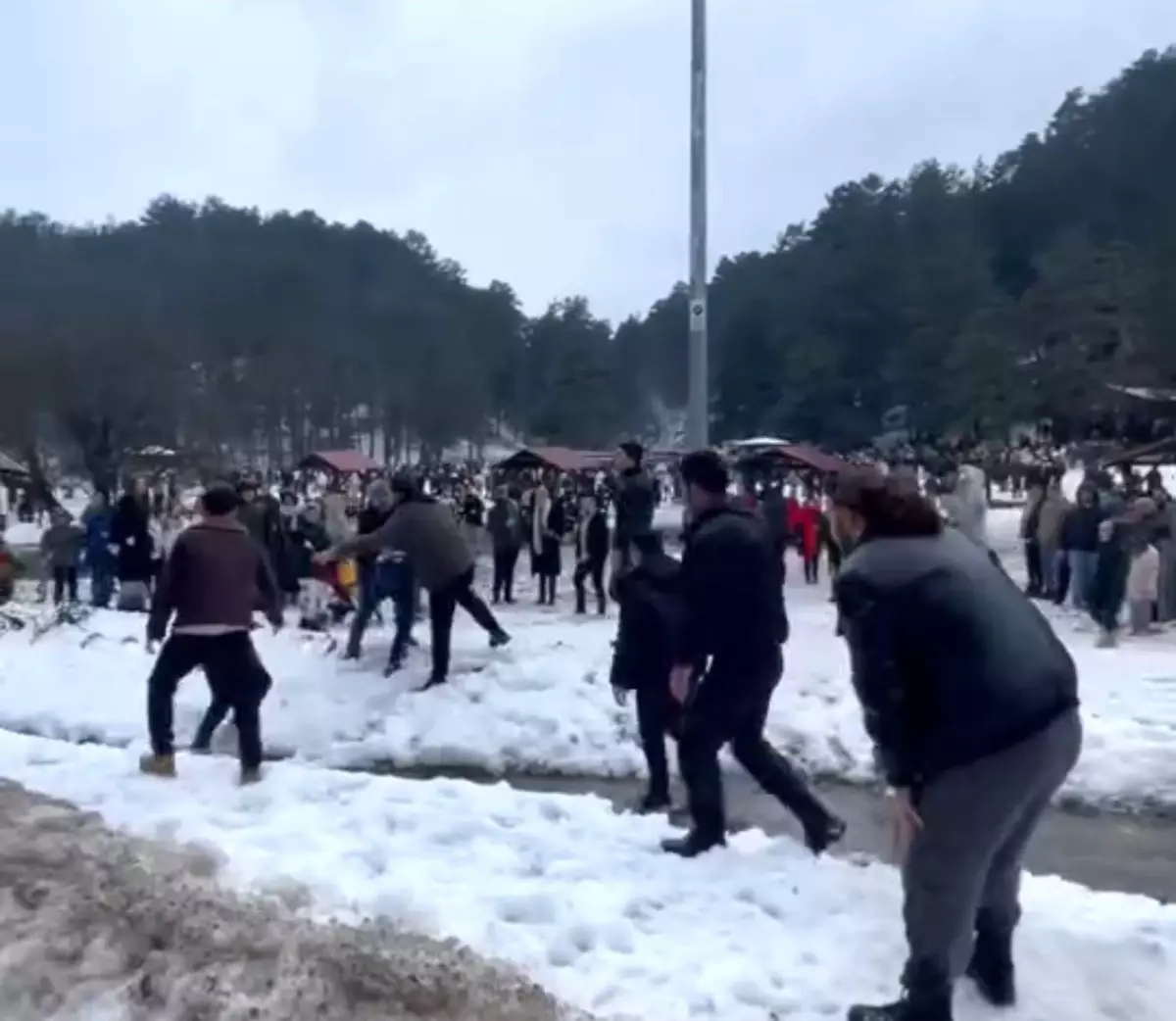 Bolu’da Hamsi Festivali’nde Kavga: Yumruklar Havada Uçuştu