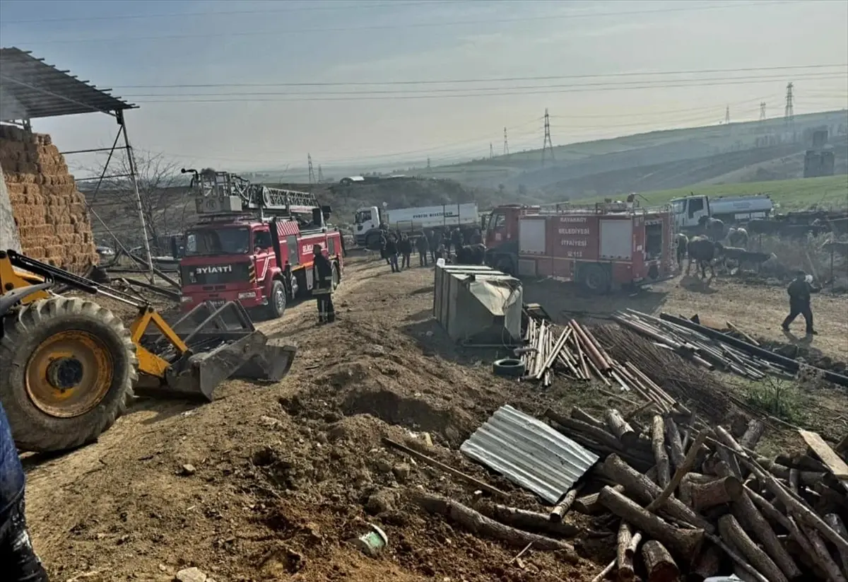 Çanakkale’de besi çiftliğinde çıkan yangında 2 kişi yaralandı