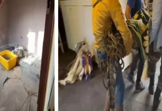 ‘Çerkes Cengiz’in villasına operasyon: İçeriden çıkanlar ‘yok artık’ dedirtti