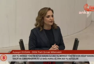 DEM Parti Milletvekili Doğan: İletişim Başkanlığı Algı Yönetimini İktidar Lehine Yapıyor